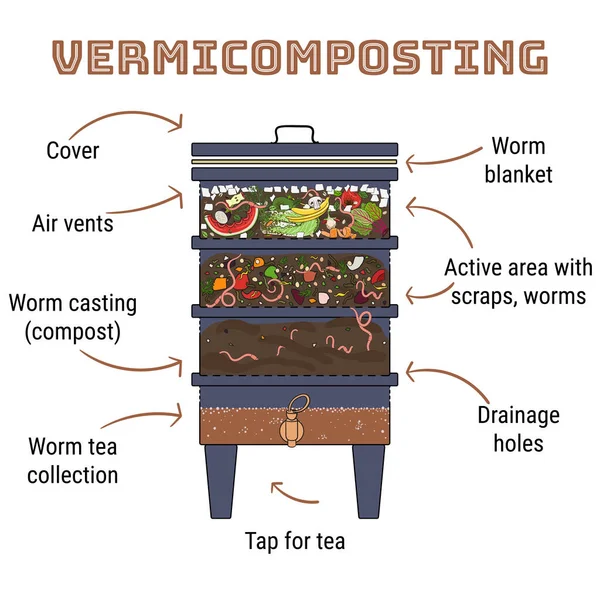 Vermigübreleme bilgisi. Vermicomposter bileşenleri. Vermicomposter şematik tasarım. Solucan gübresi. Organik atıkların geri dönüşümü, organik gübre. El çizimi vektör illüstrasyonu. 