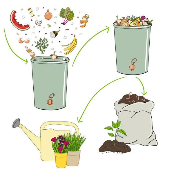 Esquema Reciclaje Residuos Orgánicos Recogida Restos Cocina Para Utilizar Compost — Vector de stock