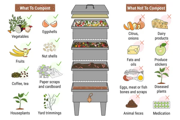 Infografika Vermikompostowania Kompostu Czego Nie Kompostowanie Robaków Recykling Odpadów Organicznych — Wektor stockowy