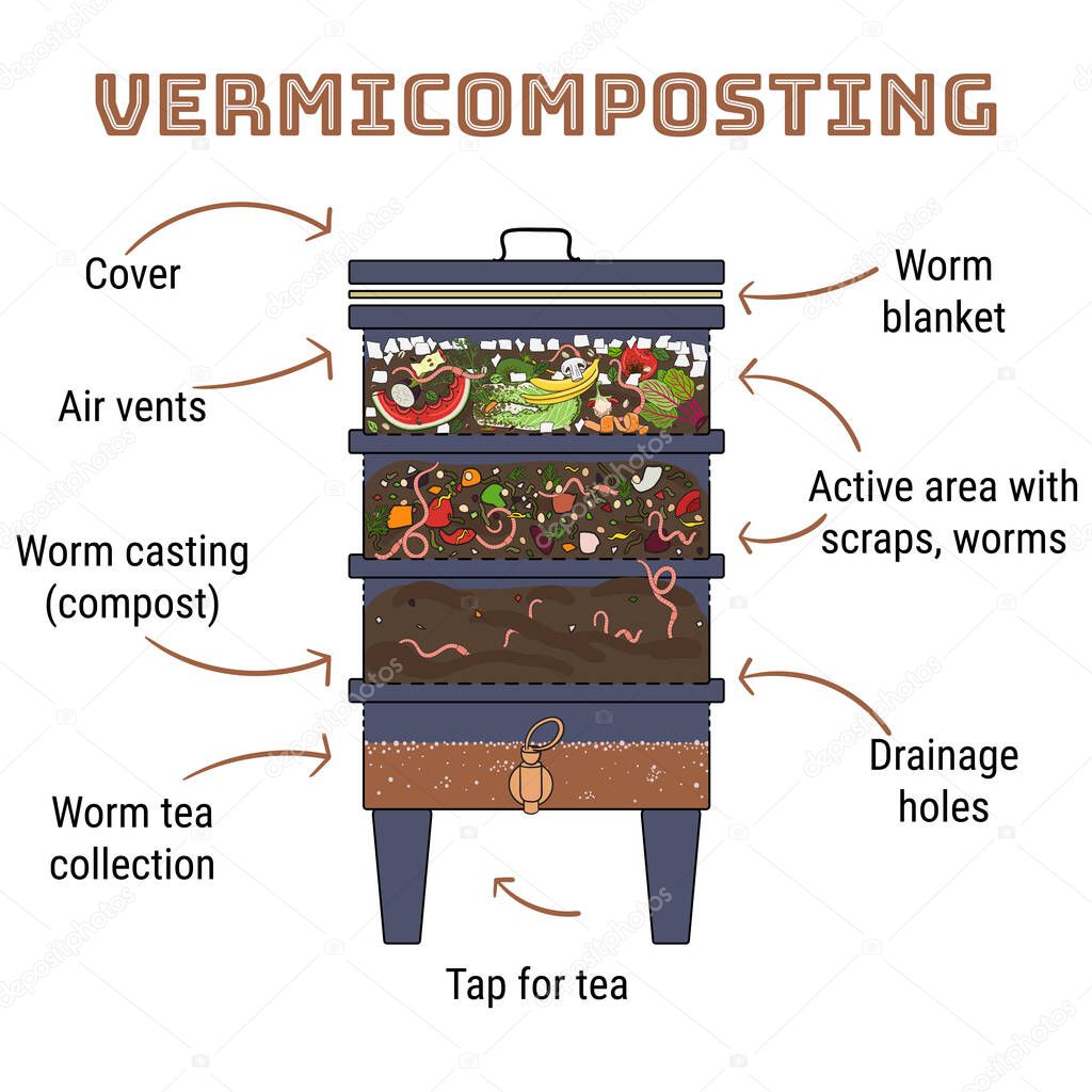 Infographic of vermicomposting. Components of vermicomposter. Vermicomposter schematic design. Worm composting. Recycling organic waste, fertilizer organic. Hand drawn vector illustration. 