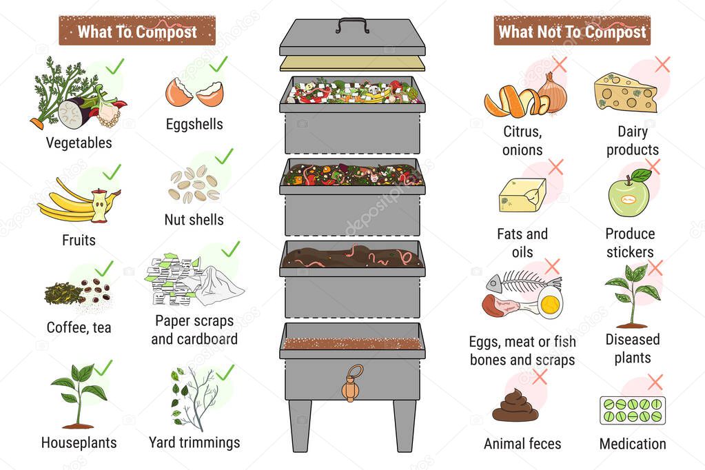 Infographic of vermicomposting. What to or not to compost. Worm composting. Recycling organic waste, compost. Sustainable living, zero waste concept. Hand drawn vector illustration. 