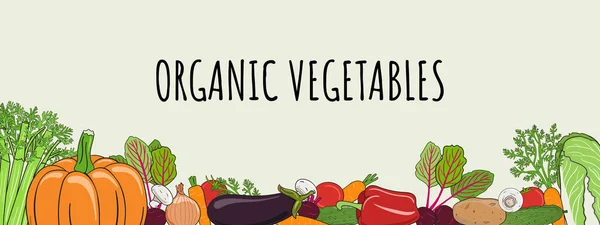 Vegetables Wide Frame Organic Market Banner Healthy Food Template Concept — Stock Vector