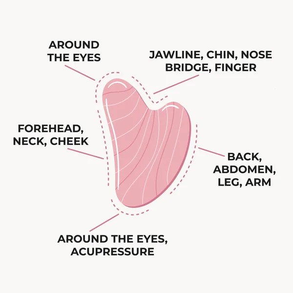 Infografía Cómo Usar Gua Sha Raspando Piedra Masaje Forma Delfín — Vector de stock