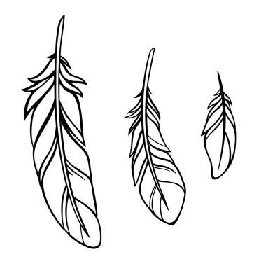 Basit bir grafik tarzında yapılmış üç tüy seti