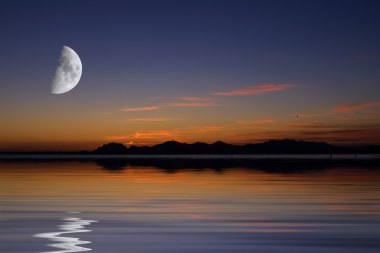 deniz moon