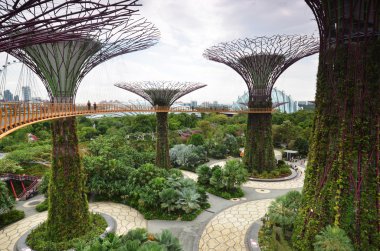 Supertree groove Gardens Singapur bay tarafından