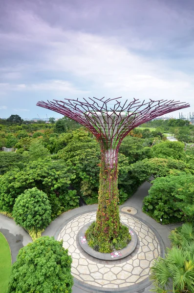 Supertree groove Gardens Singapur bay tarafından