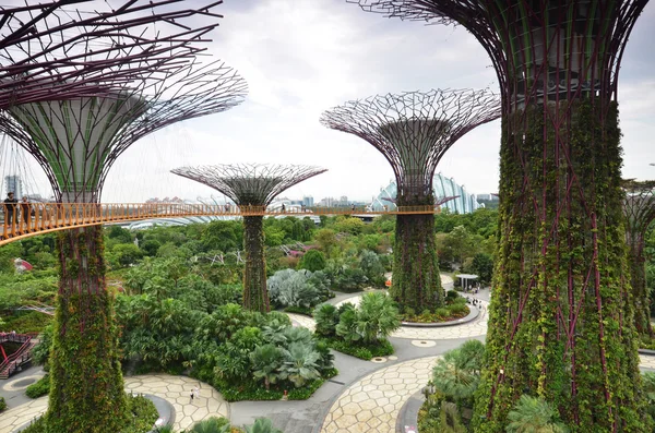 Supertree groove Gardens Singapur bay tarafından