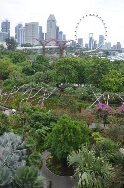 Vue panoramique de Singapour depuis le parc tropical de Gardens by the Bay — Photo
