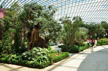 Görüntü çiçek Dome '