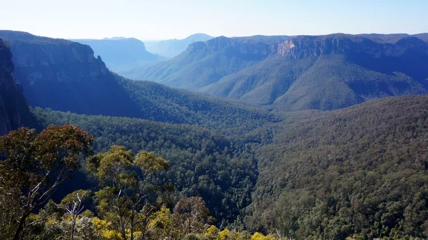 Parque nacional Blue Mountains na Austrália — Fotografia de Stock