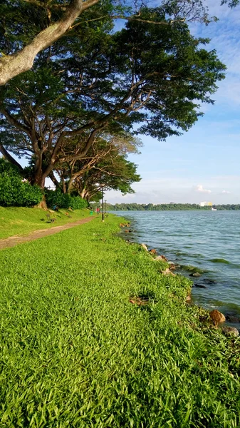 Kranji reservoir in Singapore — Stock Photo, Image