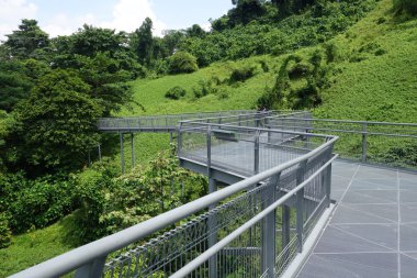 Orman yürümek, Telok eu Hill Park yağmur ormanları, Singapur