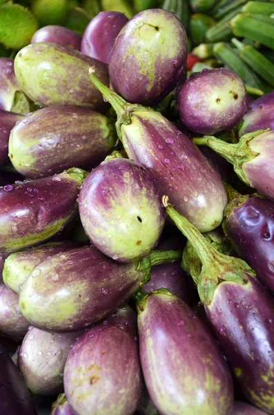 Raw ripe Eggplant — Stock Photo, Image