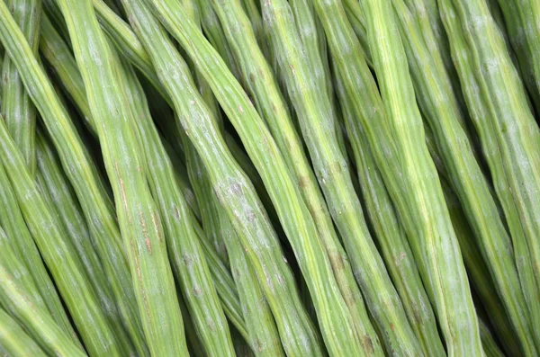 드럼 스틱 야채 또는 Moringa — 스톡 사진