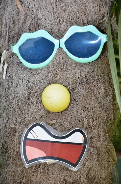 Funny photo of a tree and sunglass — Stock Photo, Image