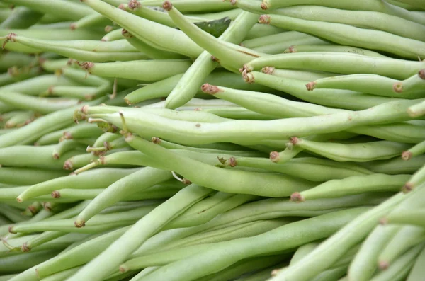 Frijoles verdes pequeños y esbeltos frescos de cera —  Fotos de Stock