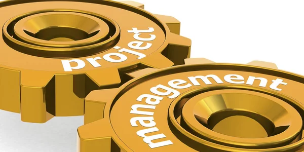 Project Management Word Golden Gears Rendering — Stock Photo, Image