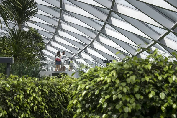 Singapour Déc 20120 Labyrinthe Jewel Changi Situé Intérieur Jewel Changi — Photo