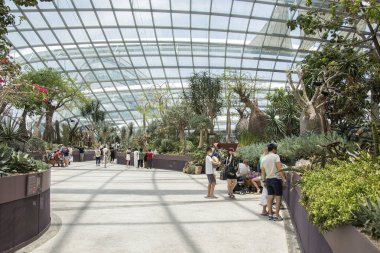 Singapur - 19 Mart 2021 Singapur 'daki Bay Flower Dome pavyonunun yanındaki bahçelerde insanlar yürür..