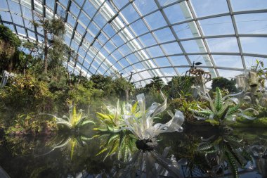 Singapur - Sep 9, 2021: Koyun yanındaki Gardens 'taki Bulut Ormanı Kubbesi' nde dekorasyon