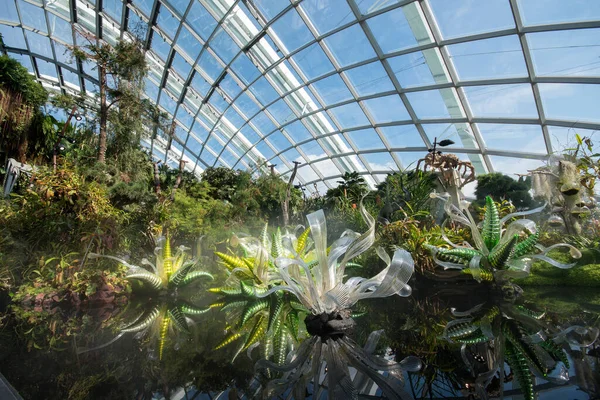 Singapore Sep 2021 Decorations Cloud Forest Dome Gardens Bay — Stock Photo, Image