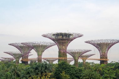 Singapur - Sep 9, 2021 Marina Bay Sands Oteli yakınlarındaki Singapur Körfezi yakınlarındaki Gardens 'taki Supertree Grove