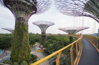 Singapur - Sep 9, 2021: OCBC Skyway Hava Yolu Körfez tarafındaki Gardens 'taki Supertree Grove yapay ağaç binaları arasında yürüme