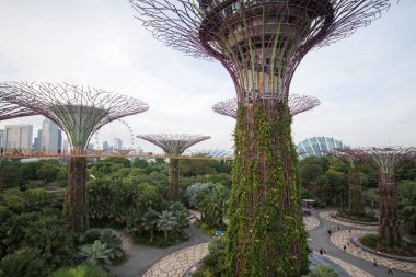 Singapur - Sep 9, 2021: OCBC Skyway Hava Yolu Körfez tarafındaki Gardens 'taki Supertree Grove yapay ağaç binaları arasında yürüme