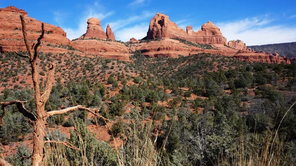 Wildernis van rotsachtige berg in arizona, Verenigde Staten — Stockfoto