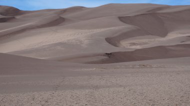 Great Sand Dunes Ulusal Parkı