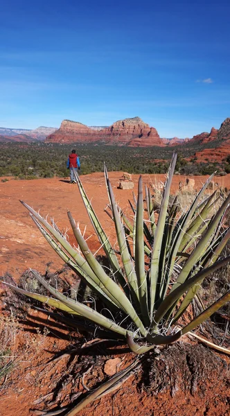 Canyon d'Oak Creek Arizona — Photo