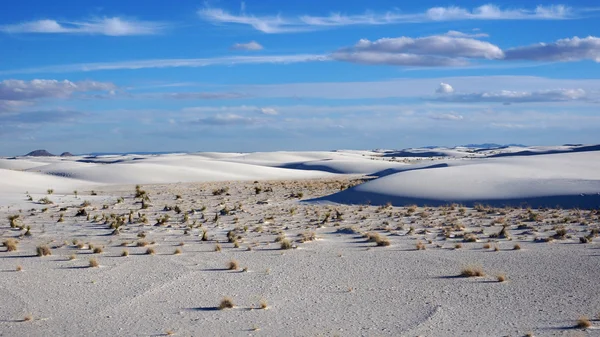 White Sands, New Mexico — Stockfoto