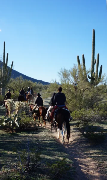 Arizona horse riding adventures — Stock Photo, Image