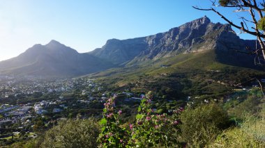 Cape Town, Güney Afrika Manzarası.