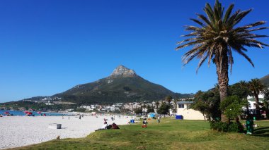 Kampın yakınındaki Cape Town, Güney Afri Batı Eyaleti, içinde defne