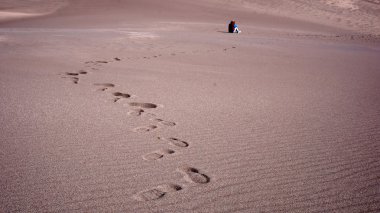 Great Sand Dunes Ulusal Parkı 