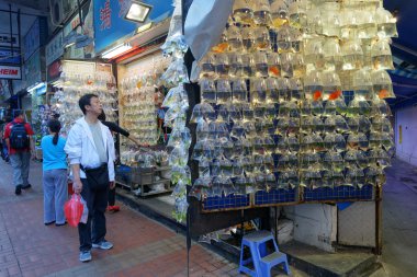 Hong Kong altın balık pazarında Tung Choi sokak