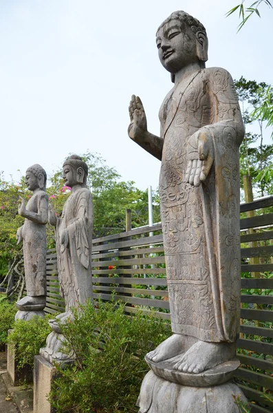 Statue di Buddha — Foto Stock