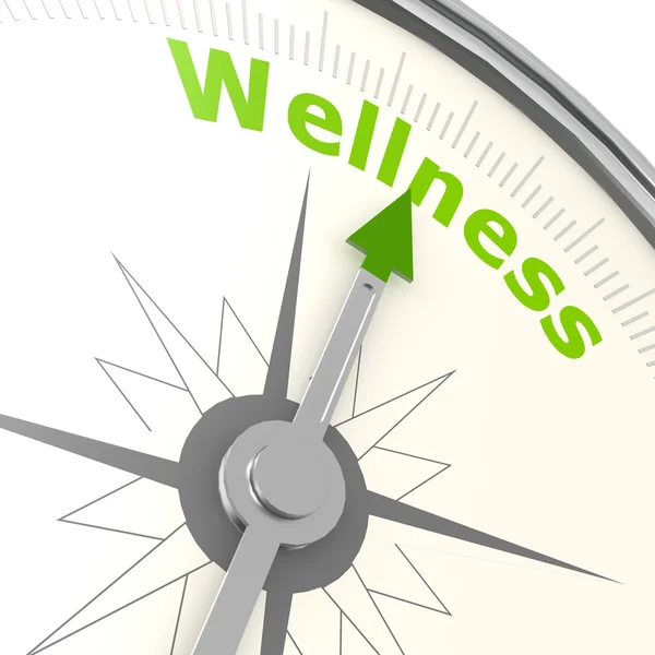 Wellness compass — Stock Photo, Image