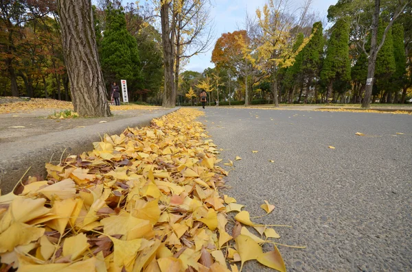 Toeristische bezoeken herfst verlof in kasteelpark Osaka in Osaka city, — Stockfoto