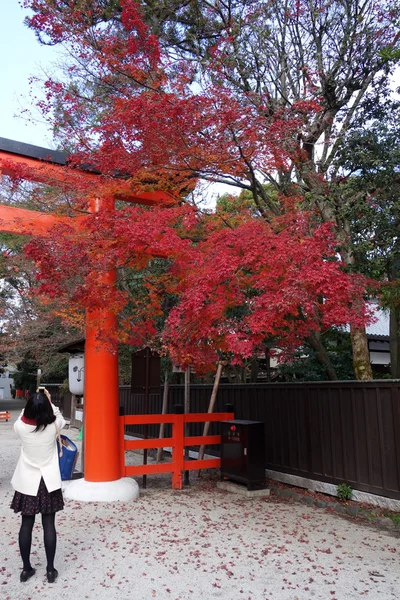 Shimogamo-Schrein orange Torbogen in Kyoto — Stockfoto