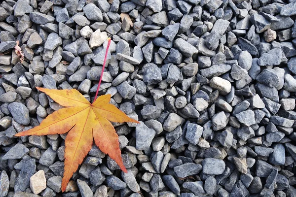 Herfstblad op de steen — Stockfoto