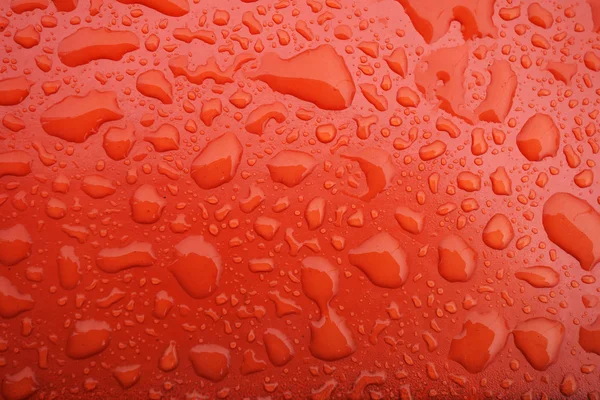 Water droplets — Stock Photo, Image