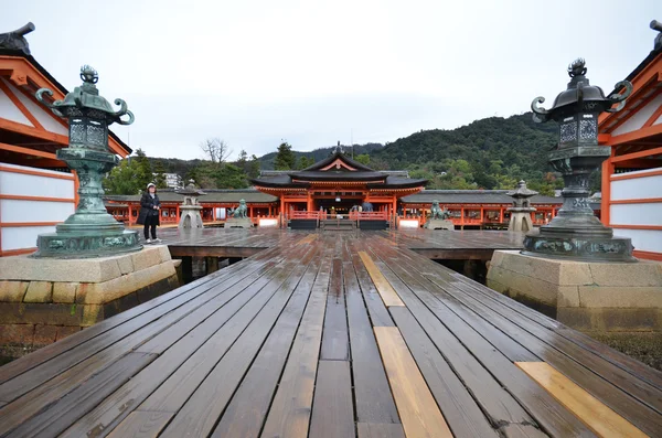 12 Aralık 2014 yılında Miyaji Itsukuşima tapınak turist ziyaret — Stok fotoğraf