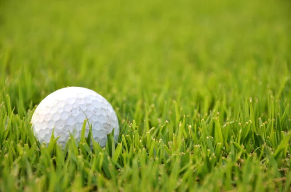 Vuile golfbal op het gras — Stockfoto