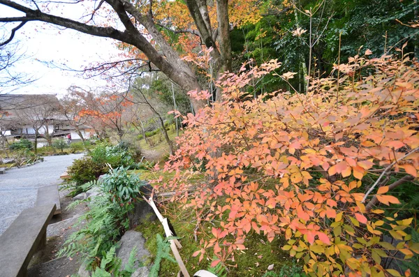 Tenryu-ji в Кіото, Японія — стокове фото