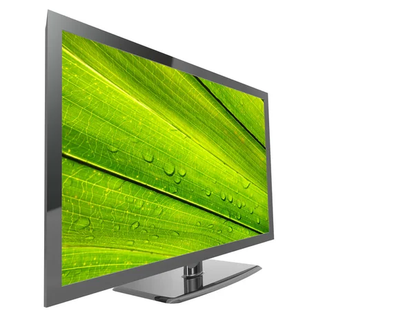 TV with green leaf — Stock Photo, Image