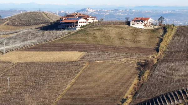 Vinha na aldeia de Serralunga Alba, Itália — Fotografia de Stock