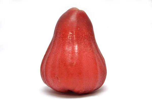 Rose apple or chomphu — Stock Photo, Image